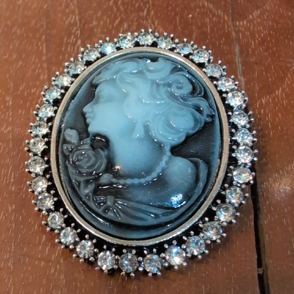 Jewelry - Elegant Blue / Gray Cameo Brooch with Silver Accents